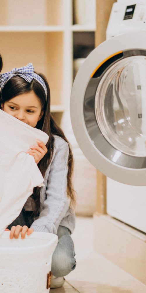 Laundry Industry