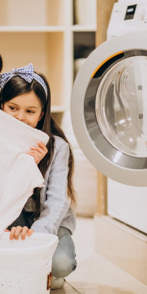 Laundry Industry